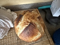 Light Deeper Cross Cut Sourdough