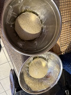 Rosemary & Basil Sourdough Starter