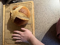 Sourdough Hand For Scale